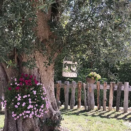 Agriturismo Le Faeta Farm stay Arpino