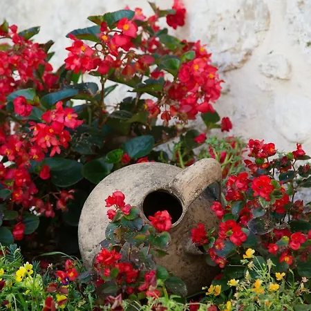 Le Faeta Alloggio per agriturismo